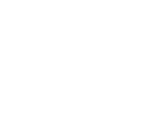 Fiat professional logo